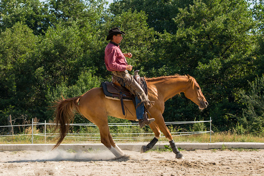 Horseback Riding